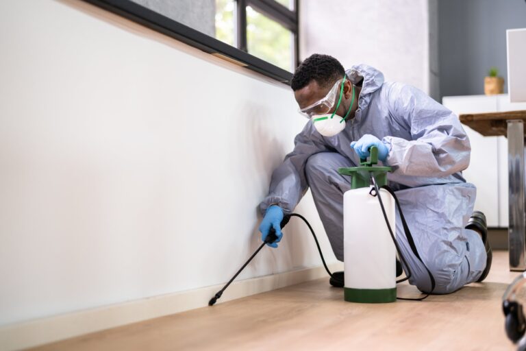 Pest Control Service Provider Delta: Effective Solutions for Your Pest Problems