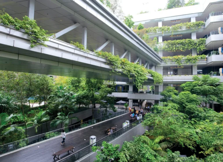 How Biophilic Architecture Can Revolutionise Healthcare Facilities?