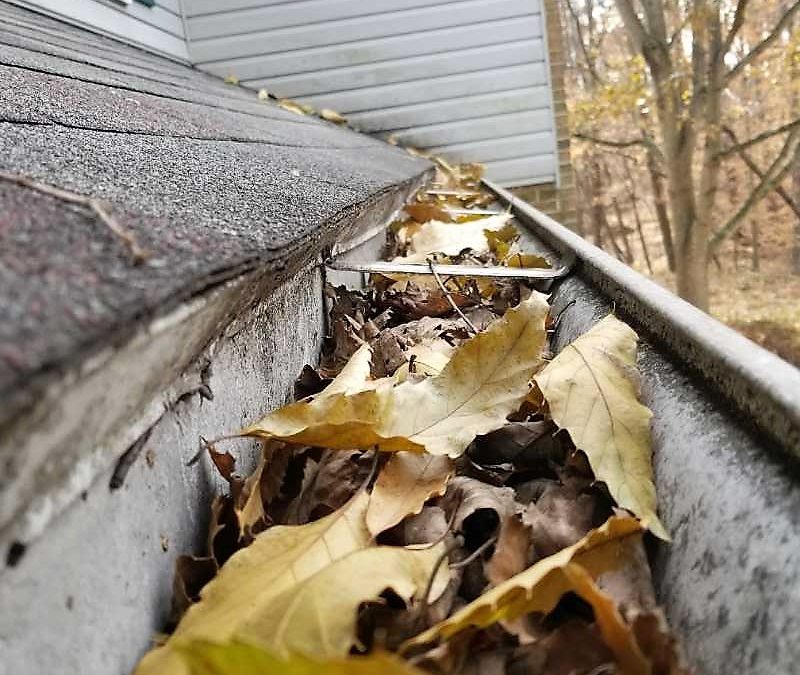 How Regular Gutter Maintenance Prevents Water Damage & Costly Repairs