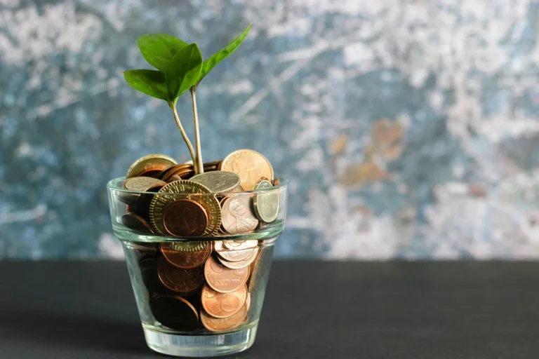 4 Services Offered by Wealth Planners