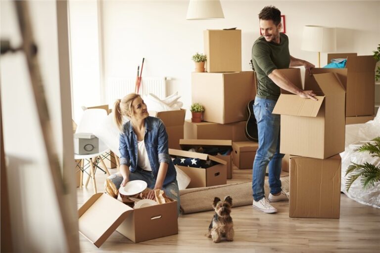 The End Of Moving and Losing, Stress-free Relocation Guide