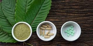 Choosing the Best Kratom Extract for Your Needs