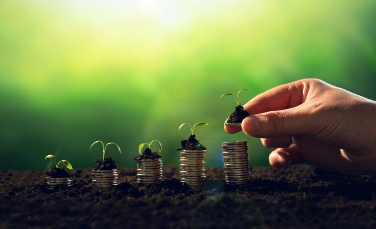 Sustainable Waste Management Practices: Why It Matters and How to Get Started