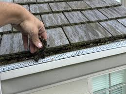 Clog-Free Living: How Indy Gutter Cleanings PLUS LLC Keeps Indianapolis Homes Dry and Damage-Free