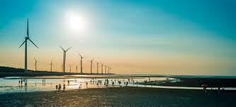 Why Should Businesses Transition to Renewable Energy?
