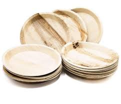 Are Palm Leaf Plates Really Strong Enough for Everyday Use?