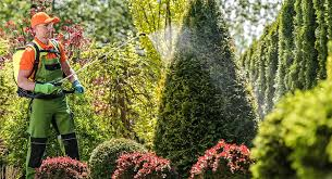 Eco-Conscious Pest Control in Richardson: How Trapping USA Balances Safety and Effectiveness