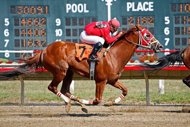 Exploring the Passion for Horse Racing Among High Net-Worth Individuals