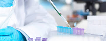 How Researchers Decide Which Therapies to Test for Cystic Fibrosis