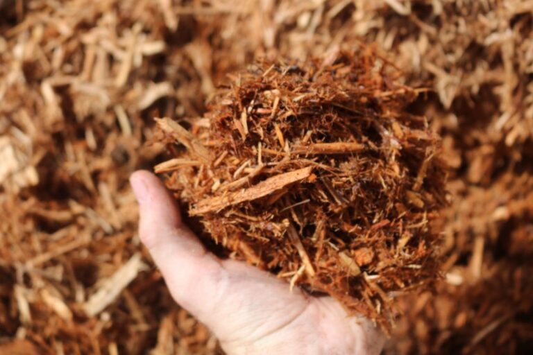 Choosing a Mulch Delivery Firm in Cincinnati: Mulch Mound & More